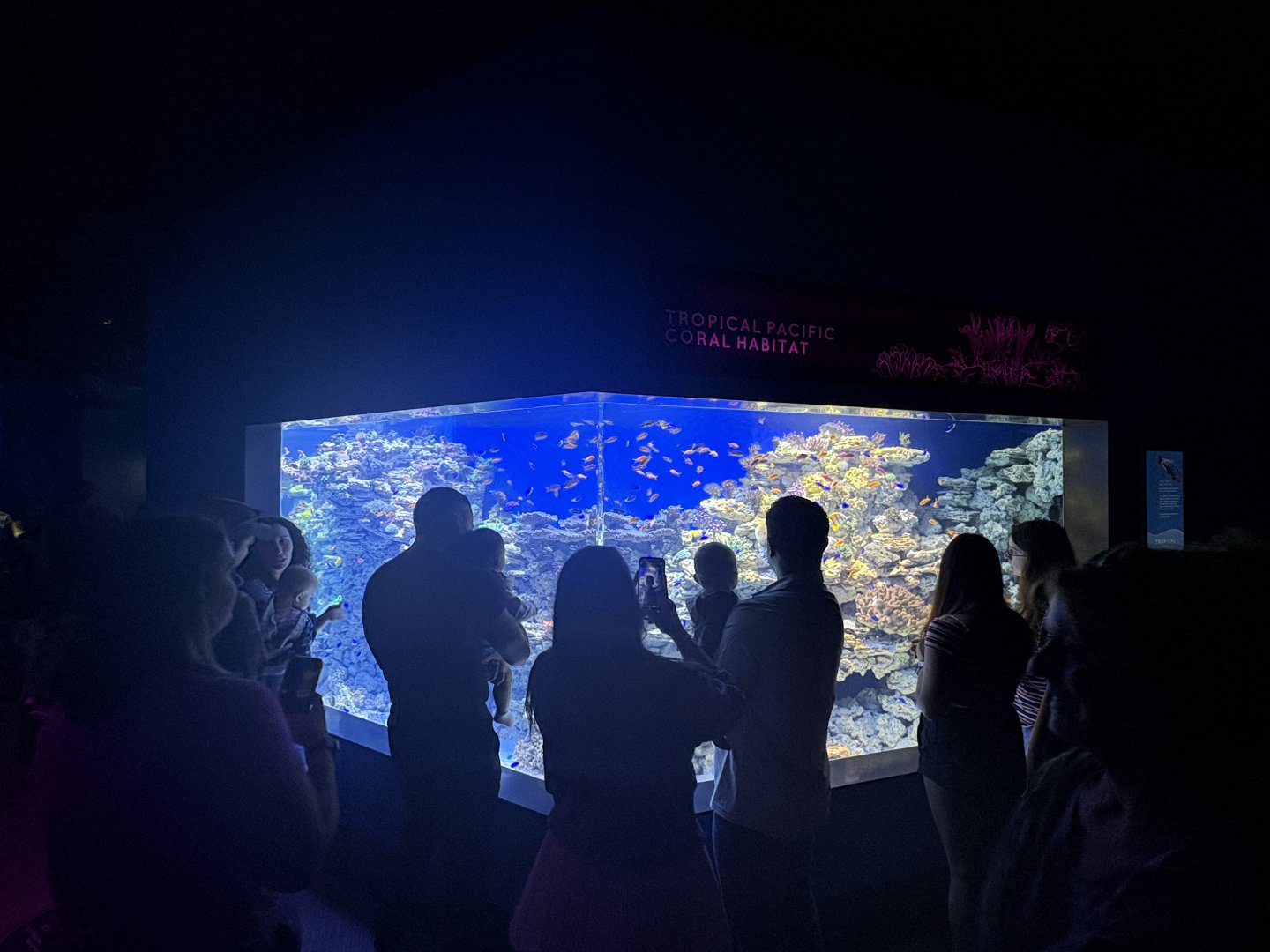 Living Seas Gallery - Tropical Pacific