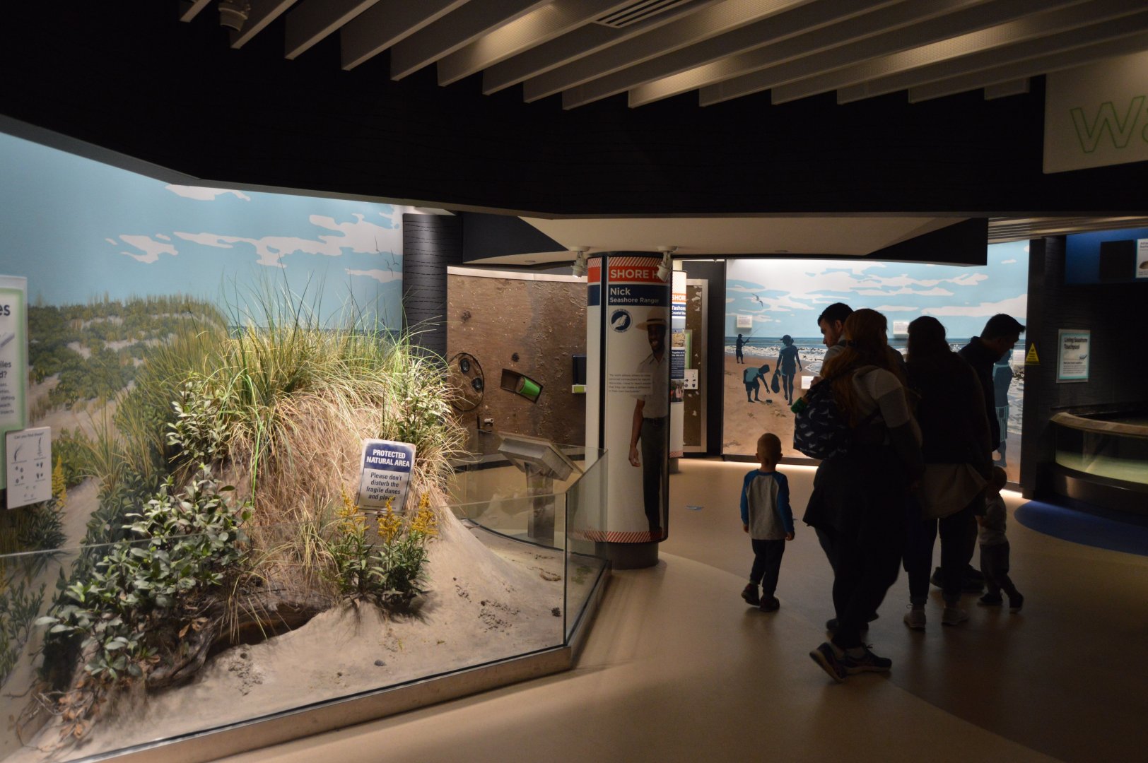 Living Seashore - Overview