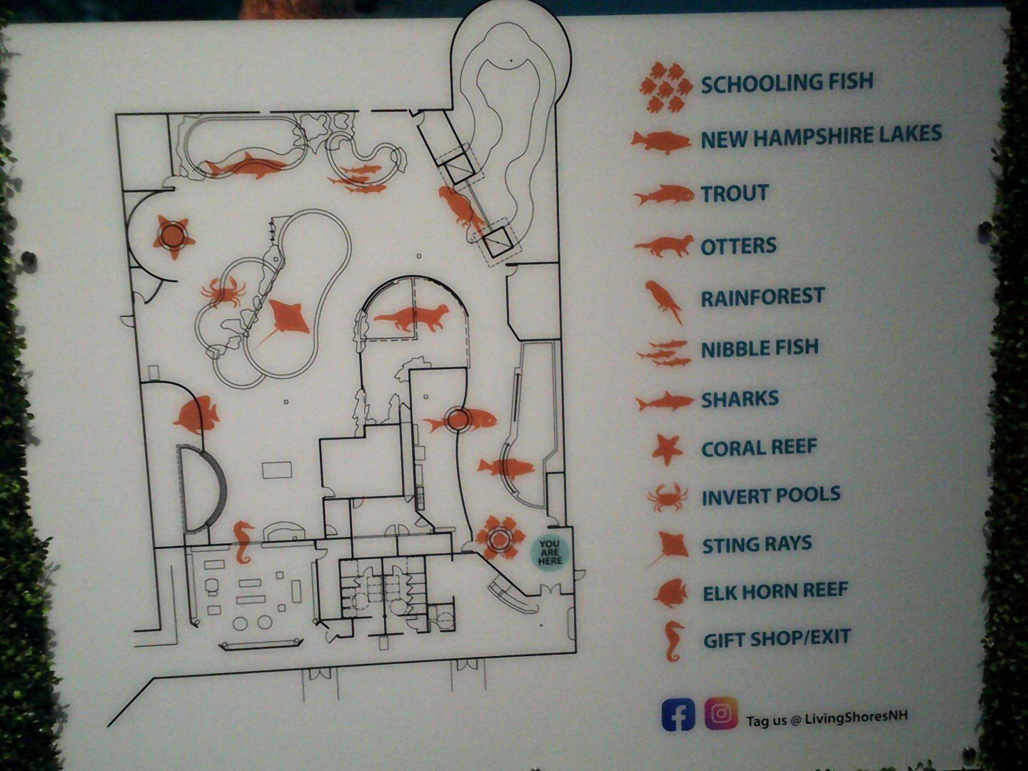 living shores aquarium map