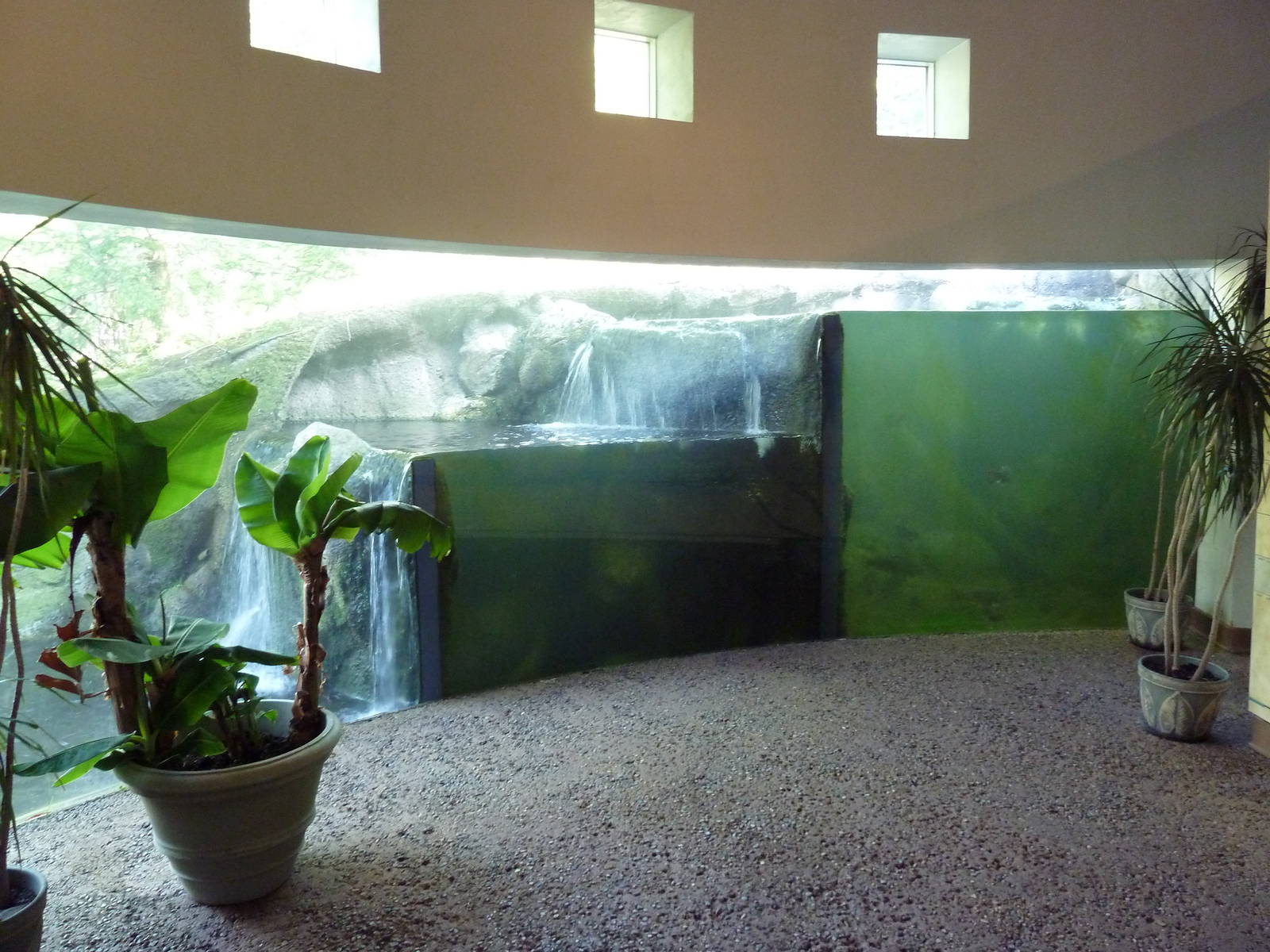 Living Shores Aquarium - Michigan Stream Exhibit