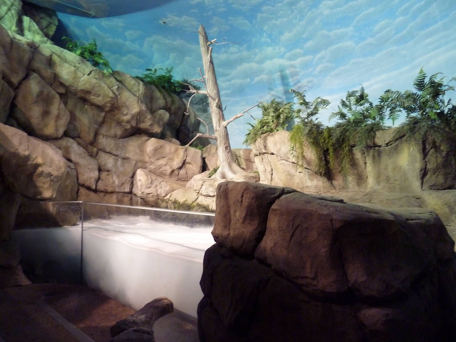 Living Shores Aquarium - Northwest Tide Pool