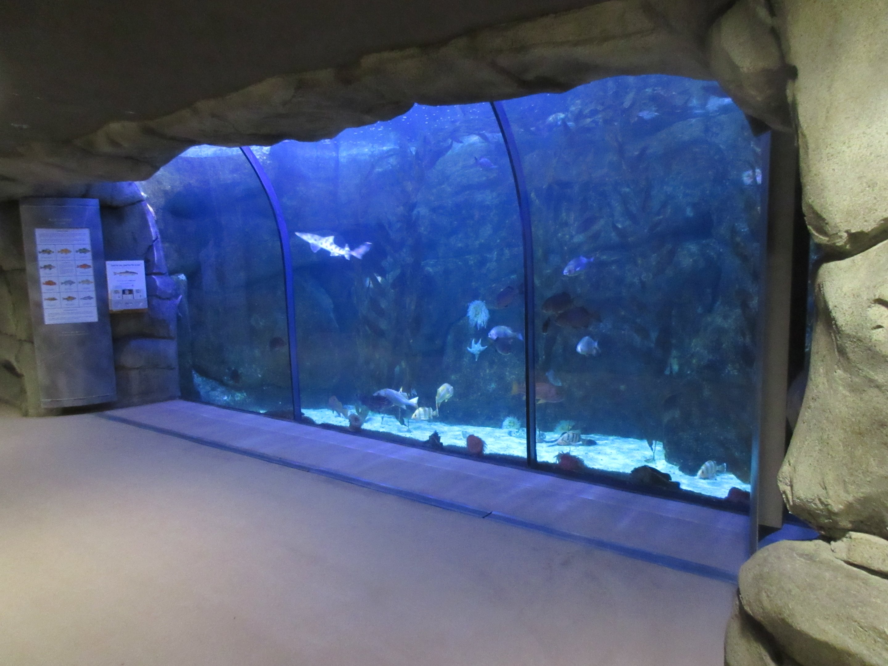 Living Shores Aquarium