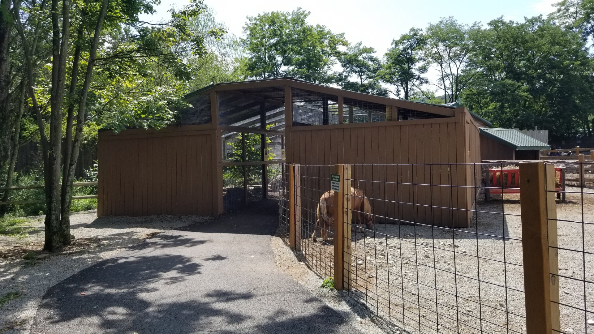 Living Treasures LH - Aviary, mara