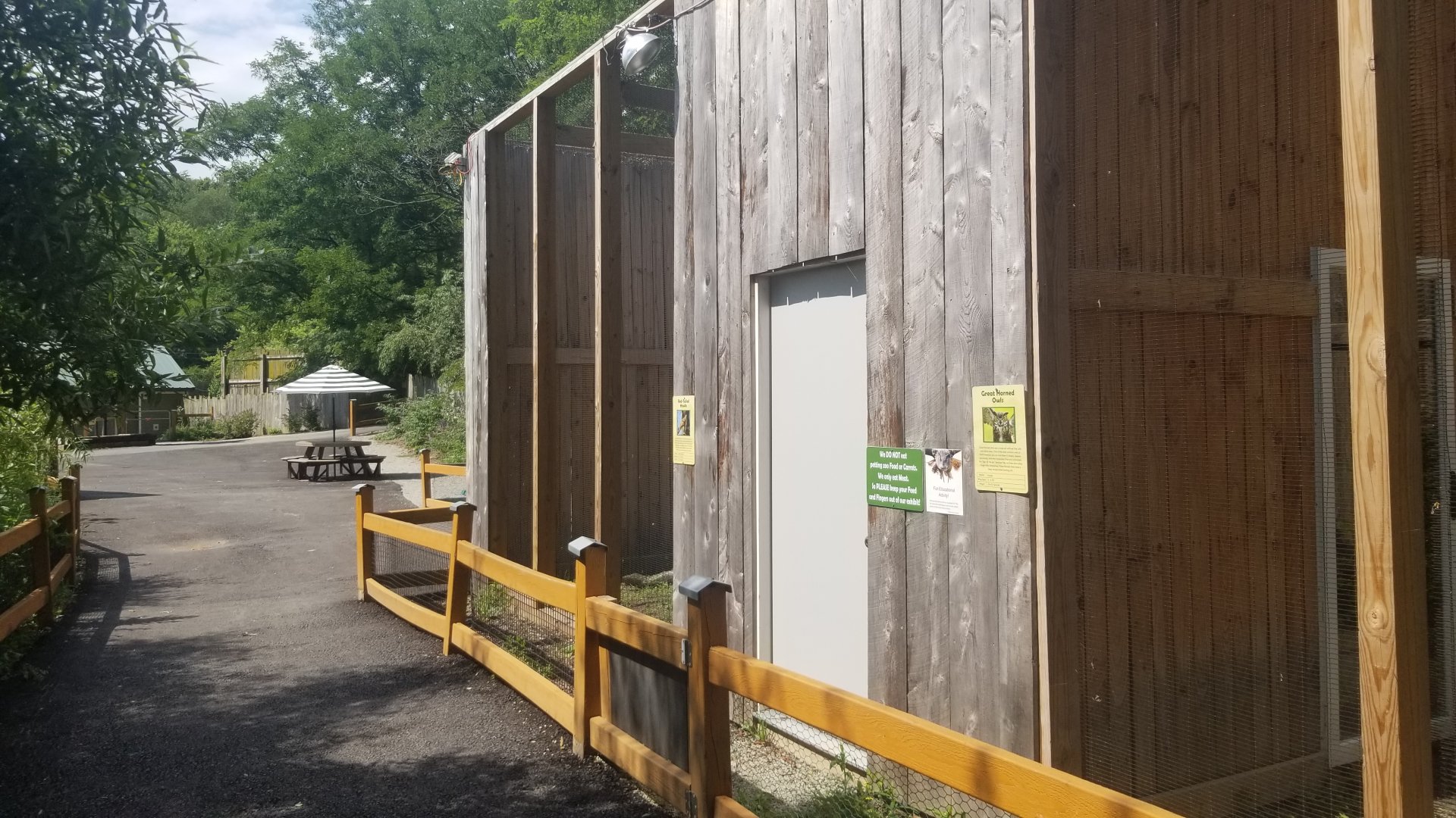 Living Treasures LH - Birds of prey