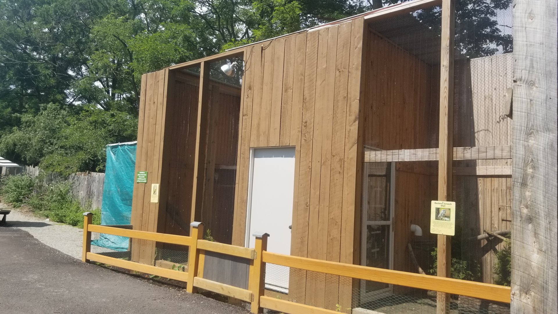 Living Treasures LH - Birds of prey