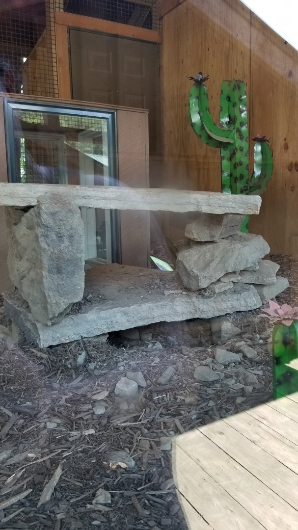 Living Treasures LH - BT Prairie dog