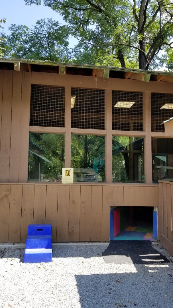 Living Treasures LH - BT Prairie dog