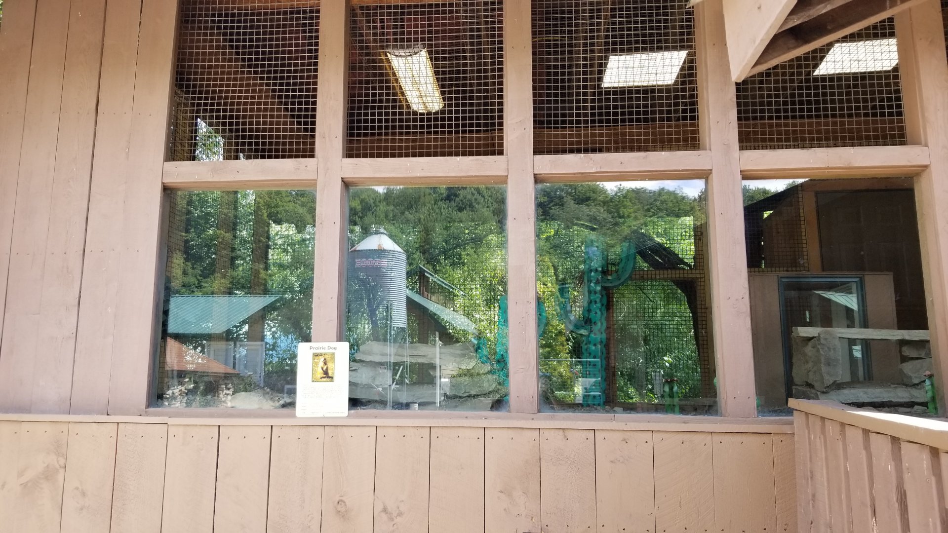 Living Treasures LH - BT Prairie dog