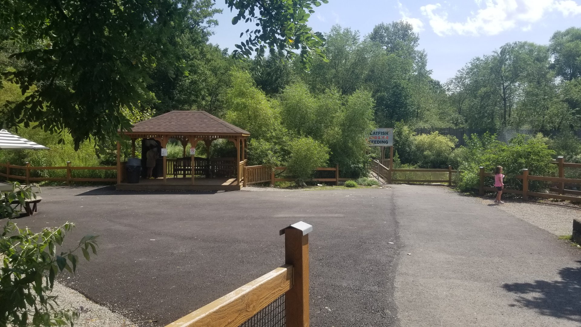 Living Treasures LH - Catfish, koi feeding