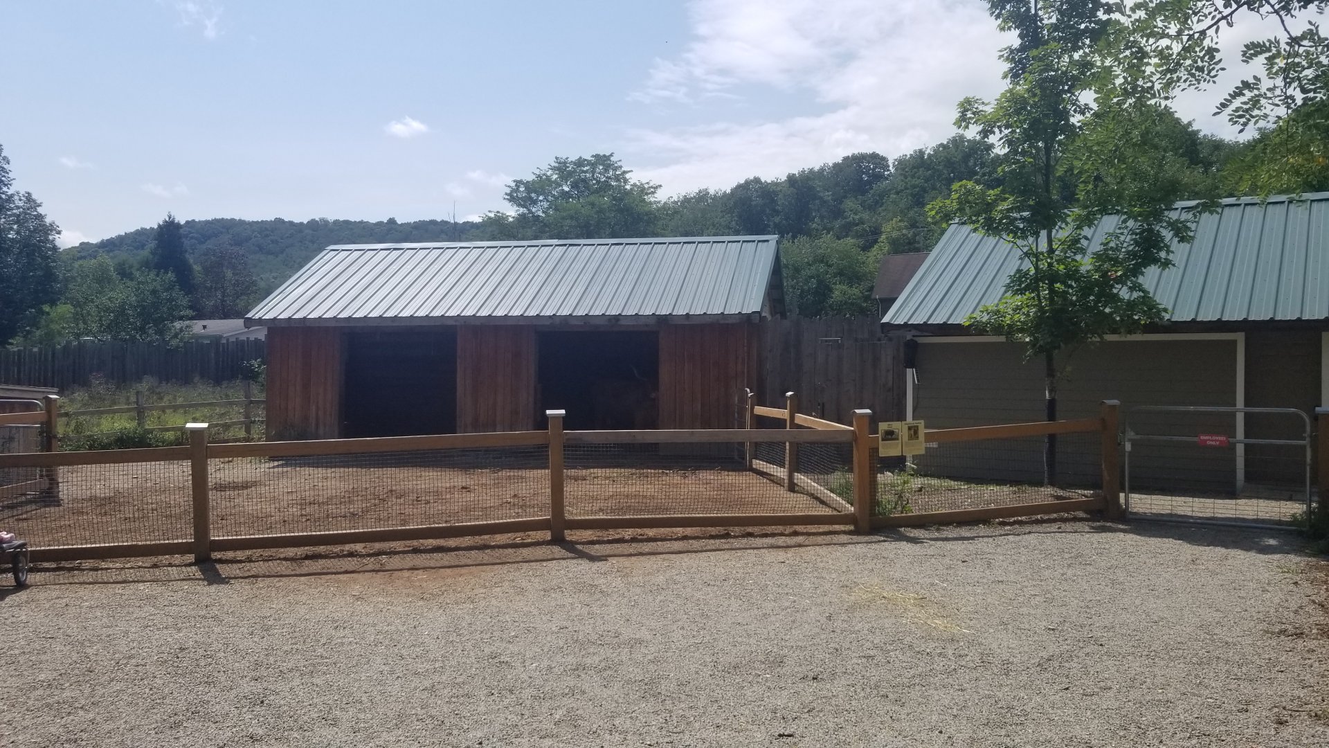 Living Treasures LH - Cattle