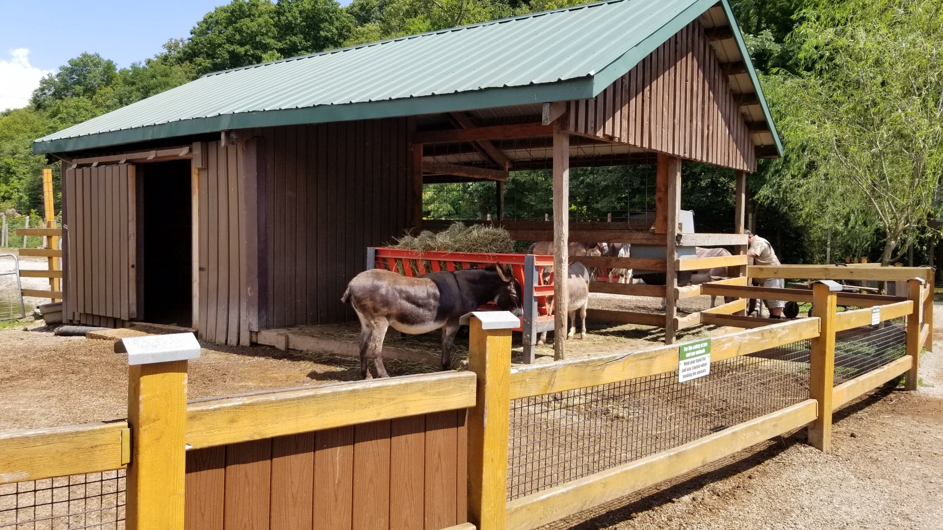 Living Treasures LH - Donkeys