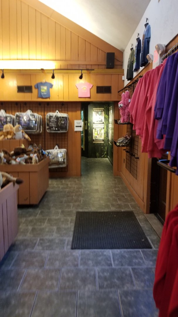 Living Treasures LH - Gift shop, entrance to Amazon Room