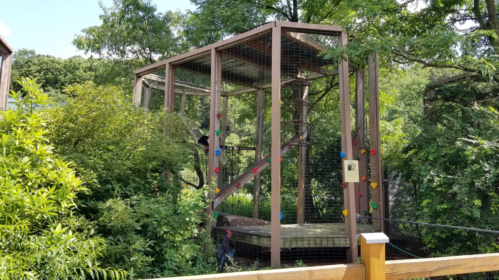 Living Treasures LH - Howlers