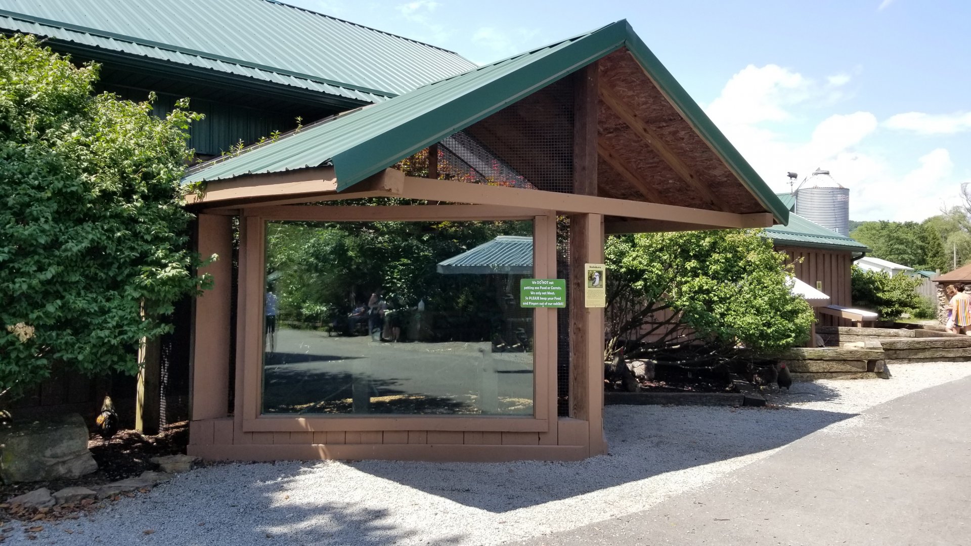 Living Treasures LH - Kookaburra