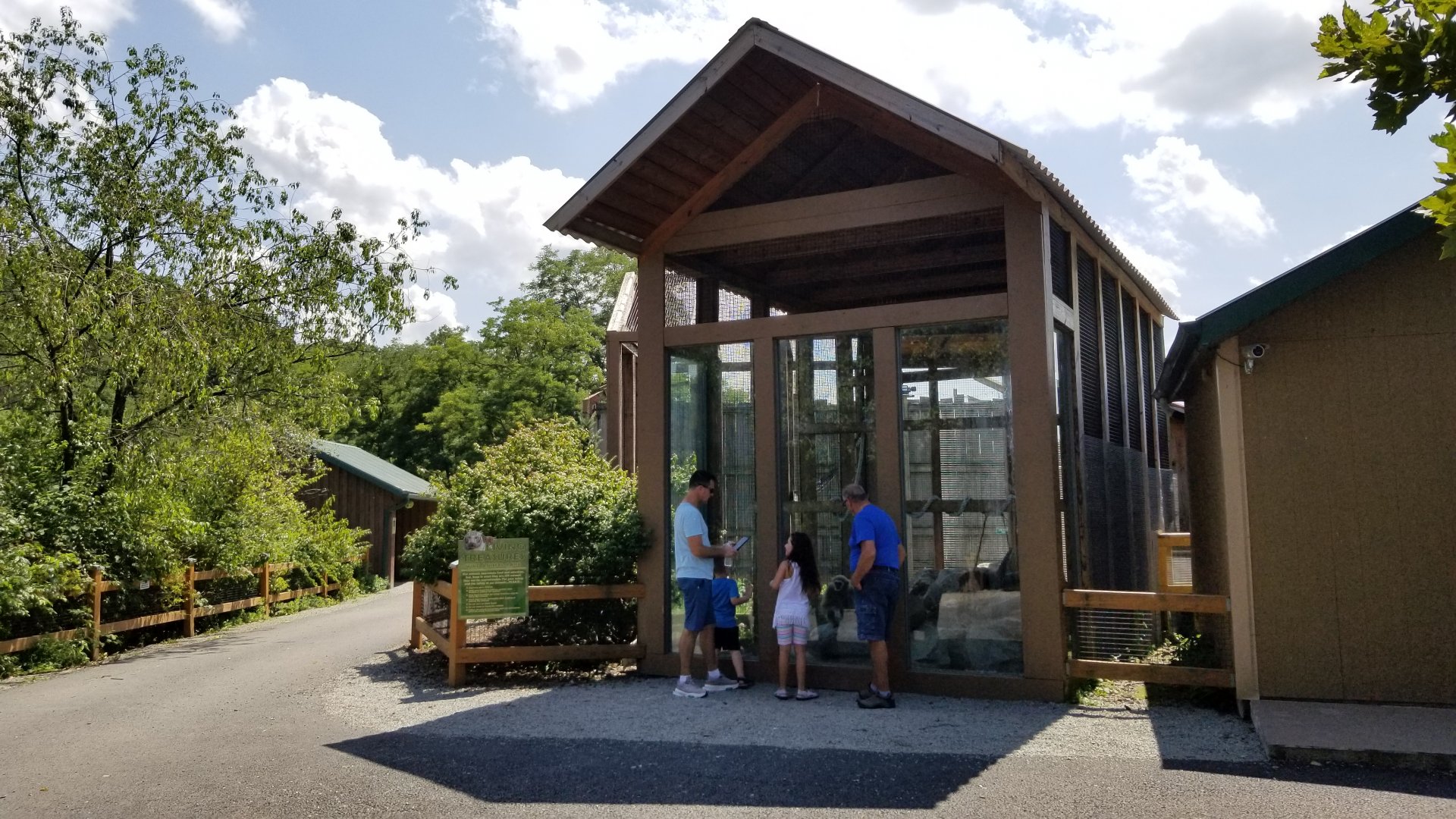 Living Treasures LH - Lar gibbon