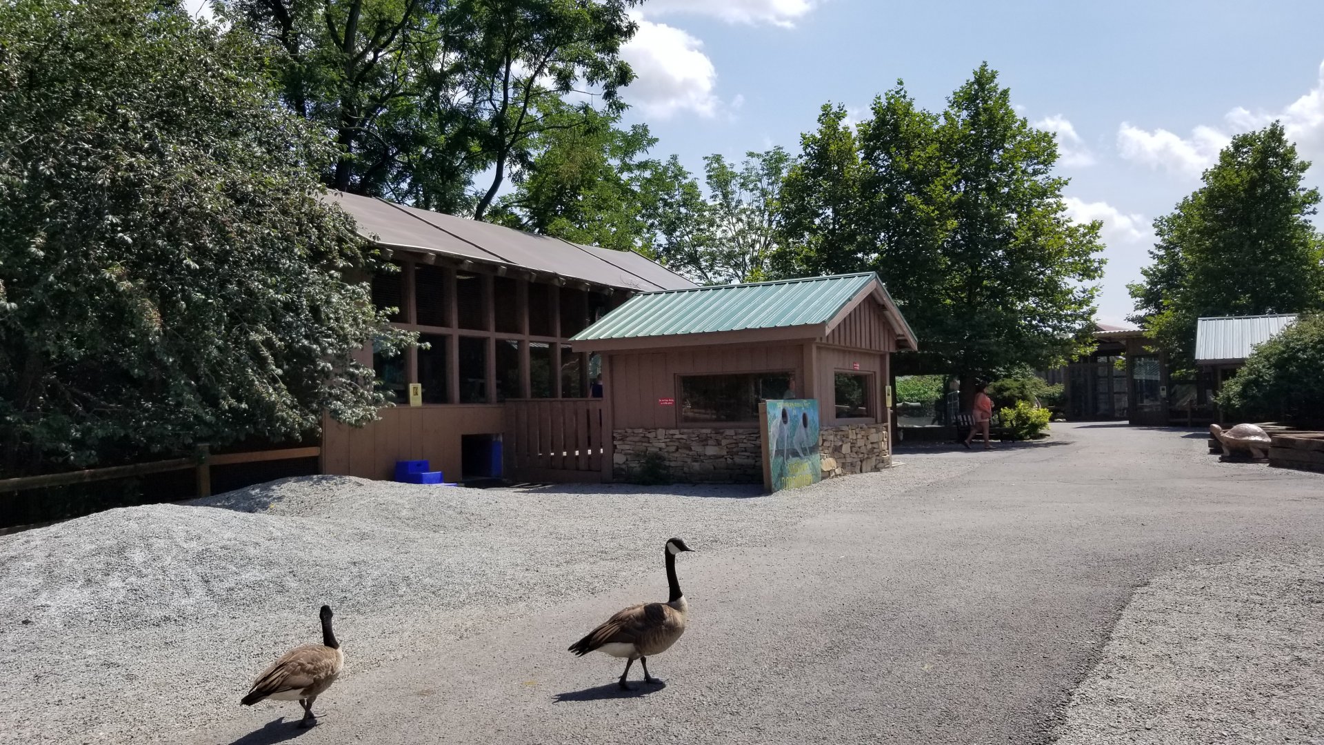 Living Treasures LH - Looking back at coati, prairie dog, fennec buildings