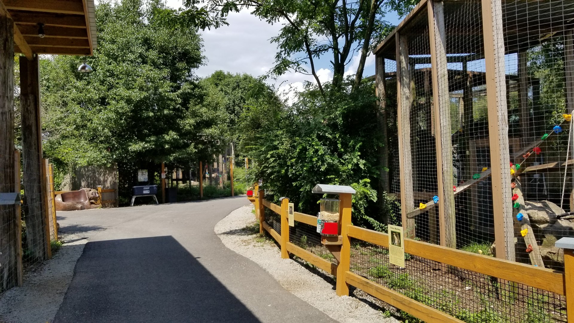 Living Treasures LH - Looking back at path