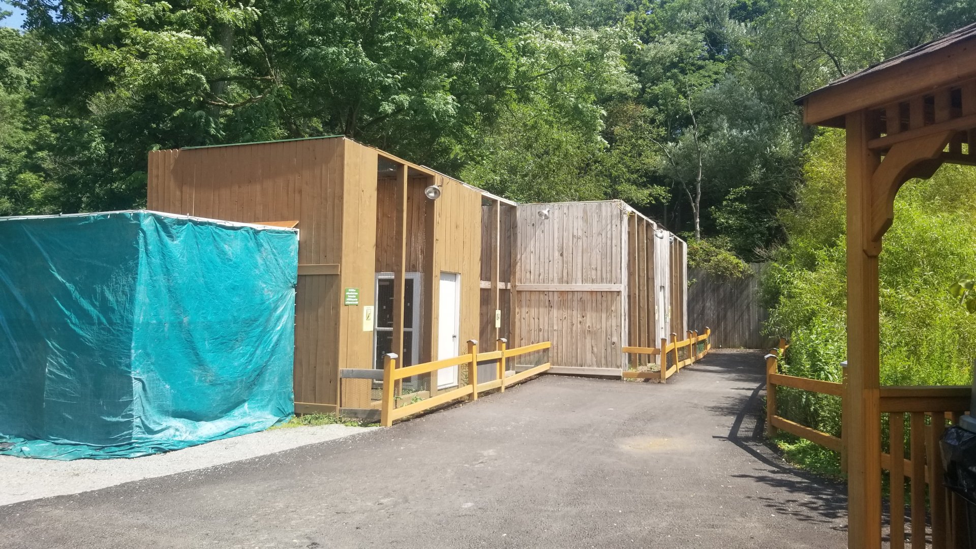 Living Treasures LH - Native birds of prey