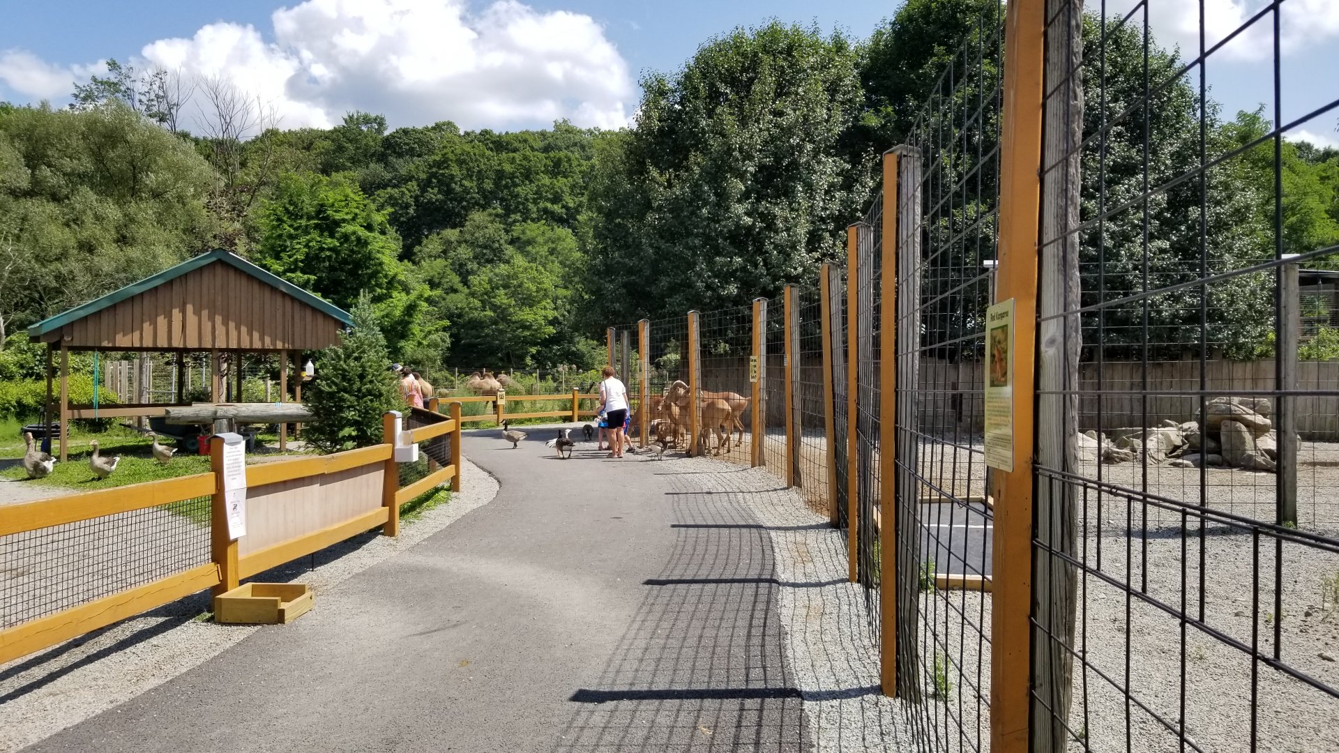 Living Treasures LH - Path