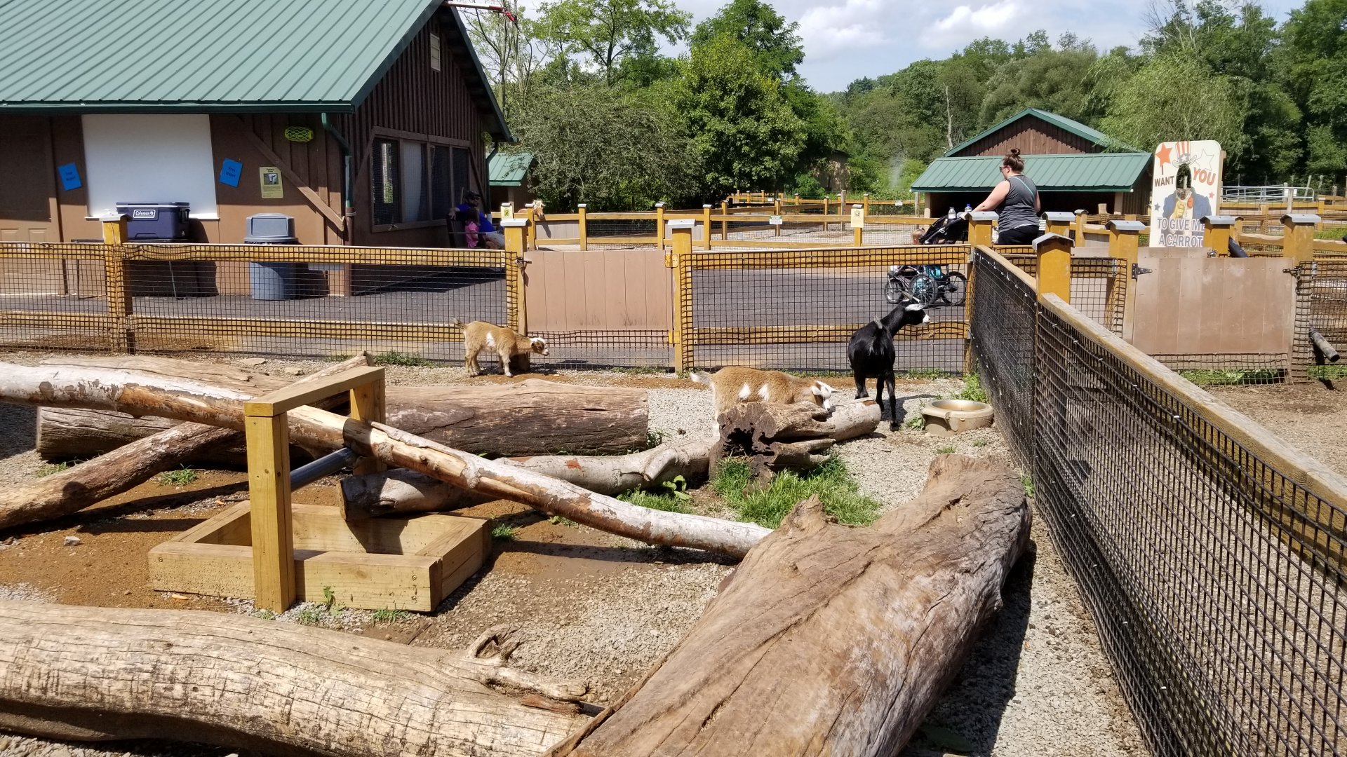 Living Treasures LH - Petting area, goats