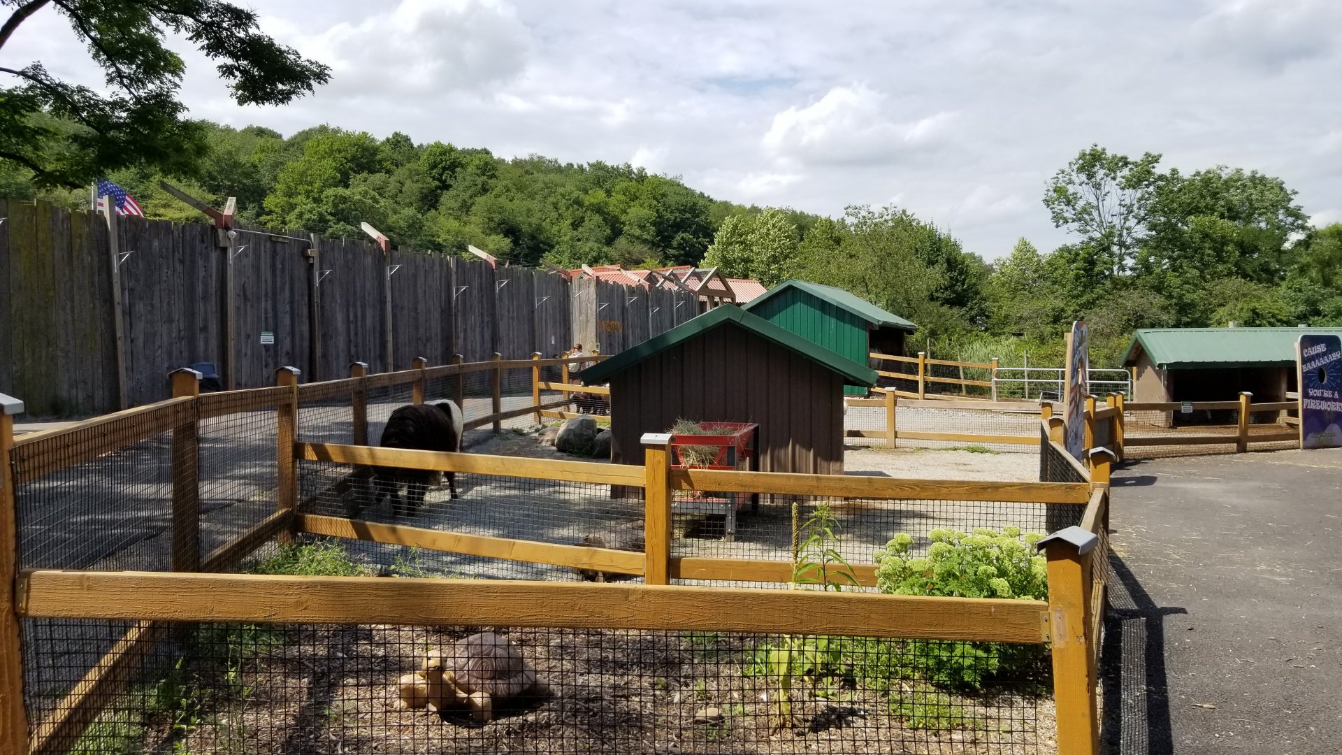 Living Treasures LH - Petting area, llama and alpaca, tortoise