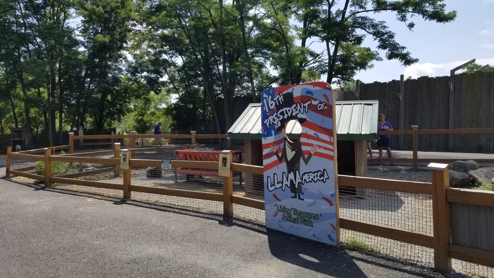 Living Treasures LH - Petting area, llama and alpaca