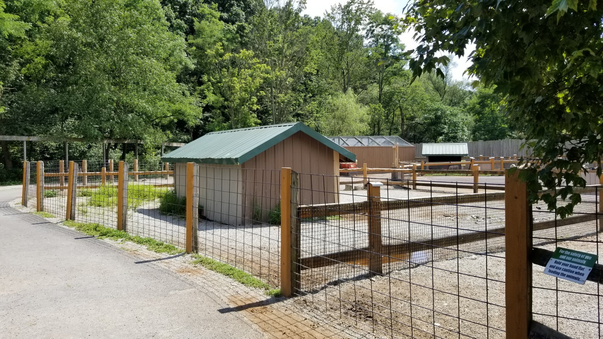 Living Treasures LH - Petting area, mini horses