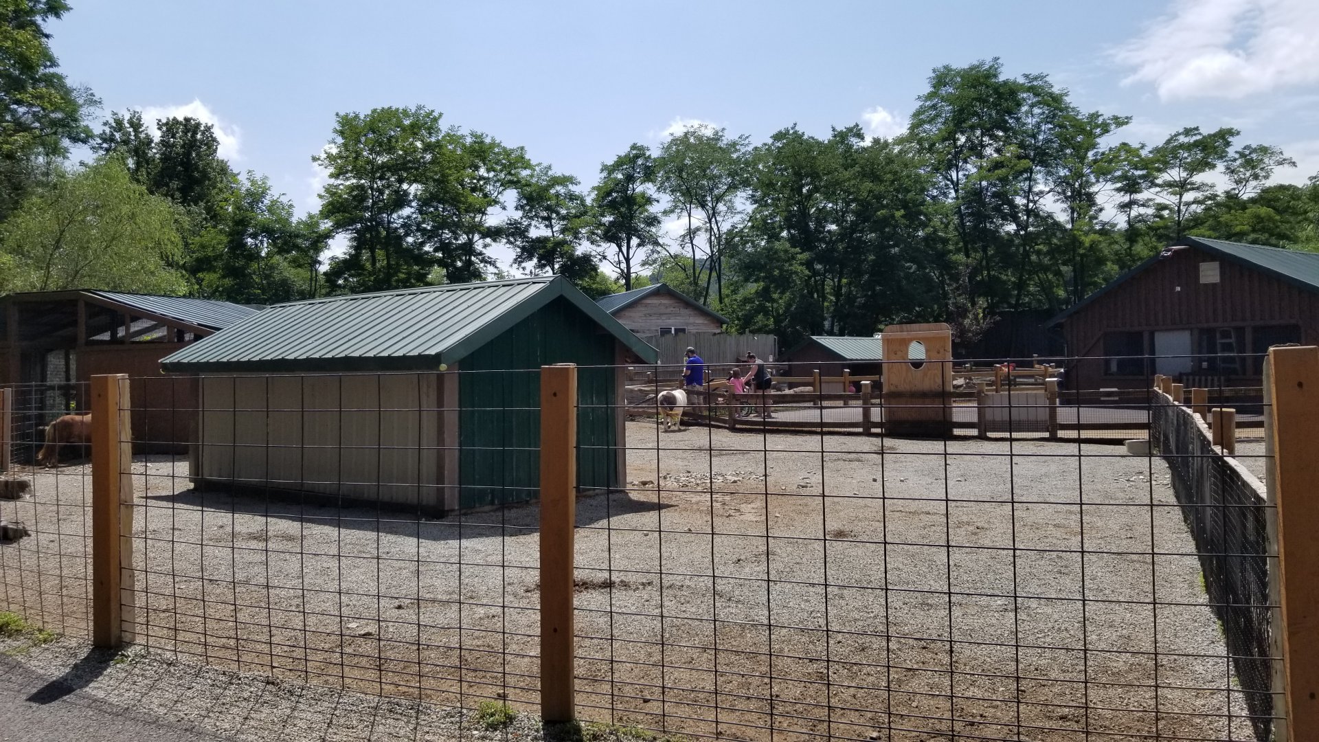 Living Treasures LH - Petting area, mini horses