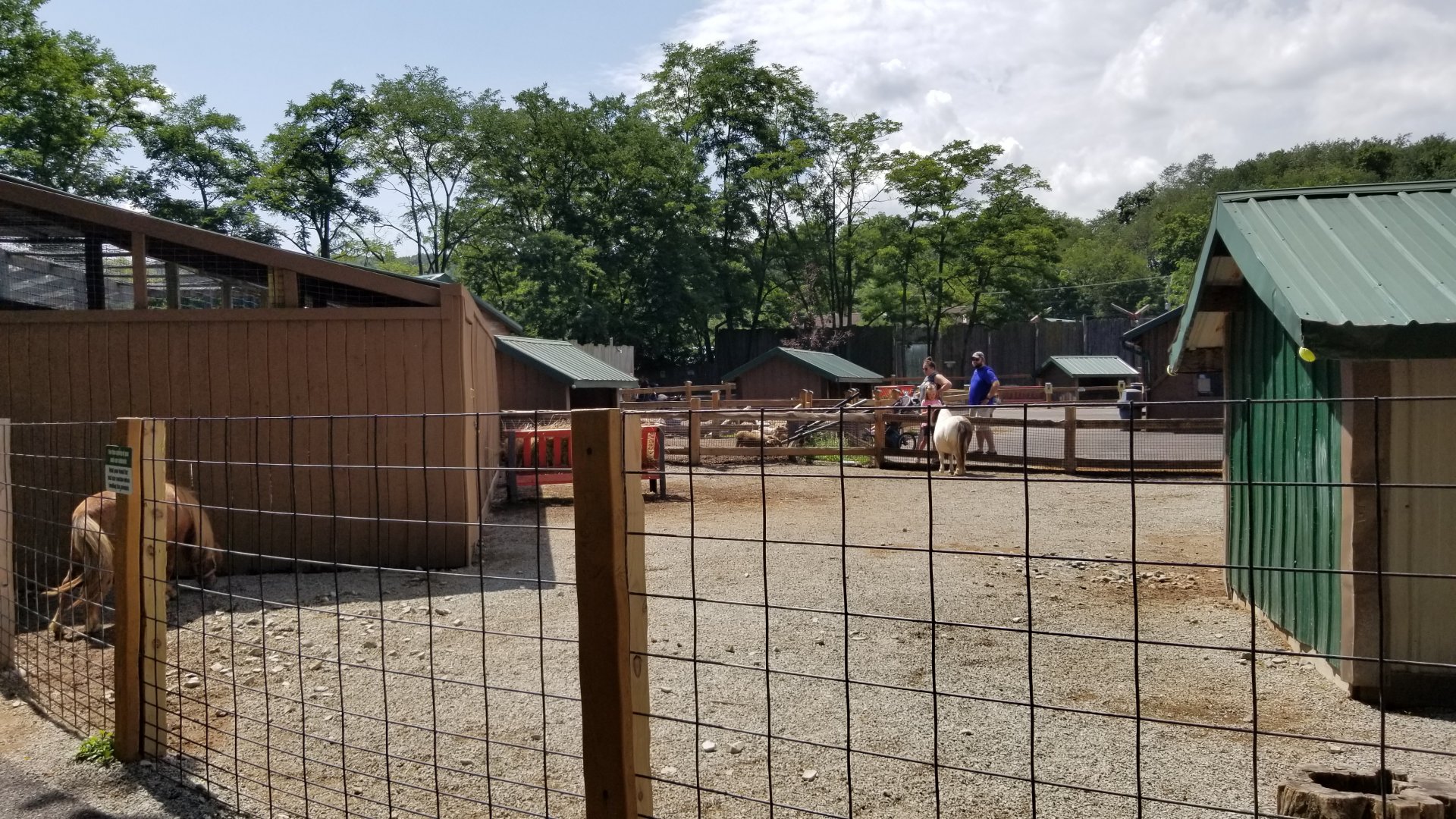 Living Treasures LH - Petting area, mini horses