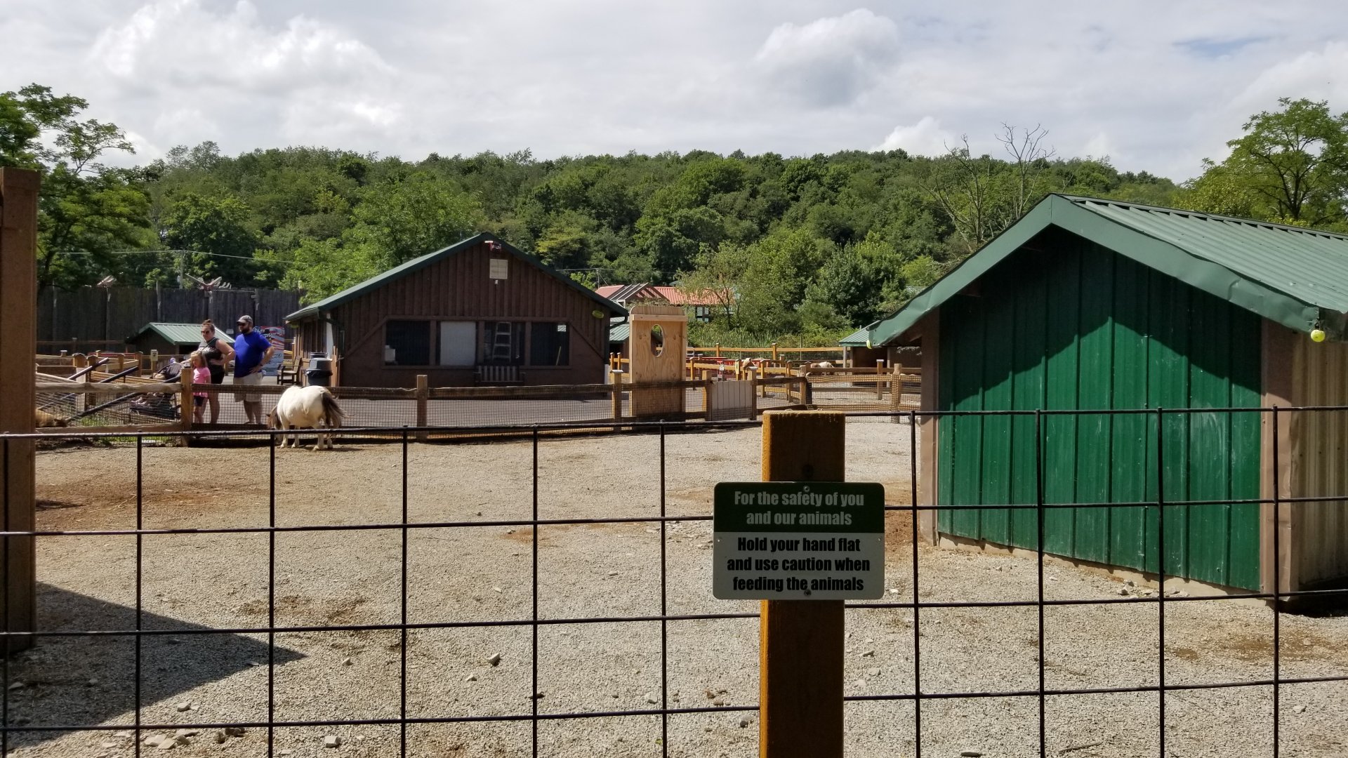 Living Treasures LH - Petting area, mini horses