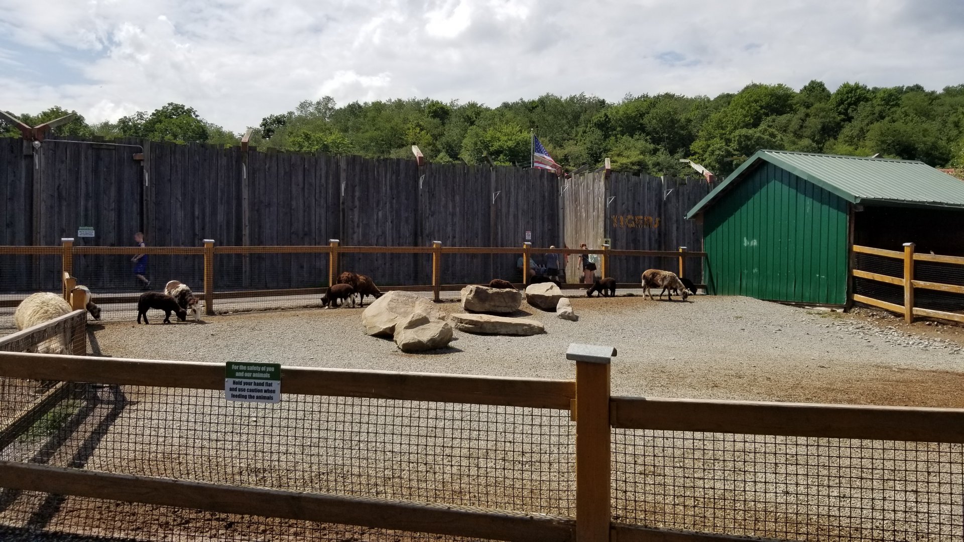 Living Treasures LH - Petting area, sheep, tiger area in background