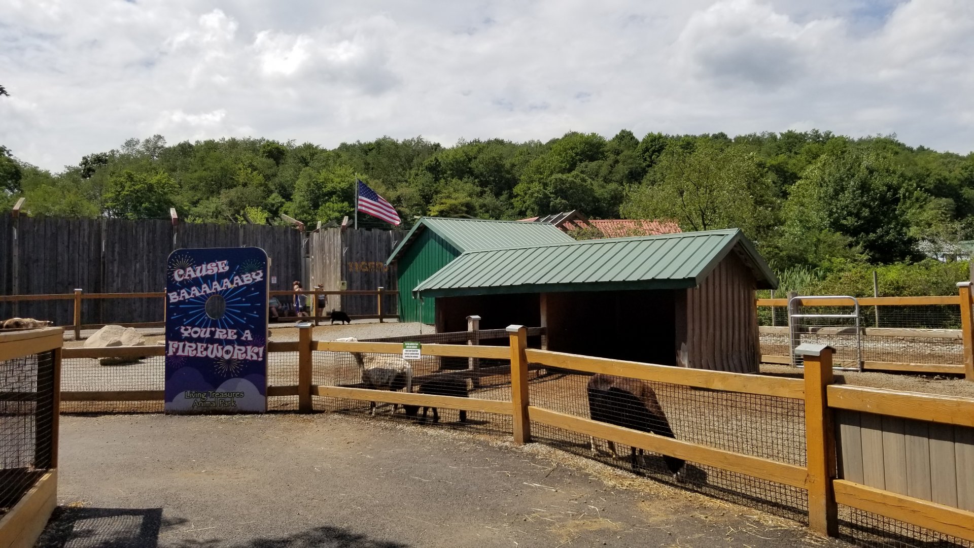 Living Treasures LH - Petting area, sheep