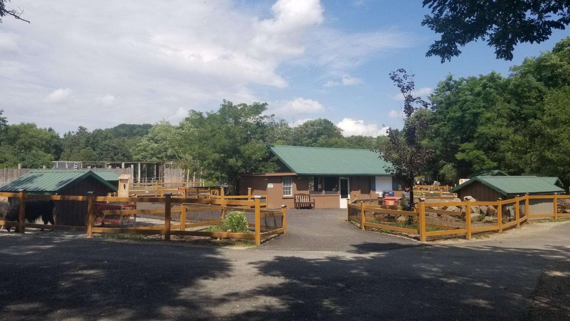 Living Treasures LH - Petting area
