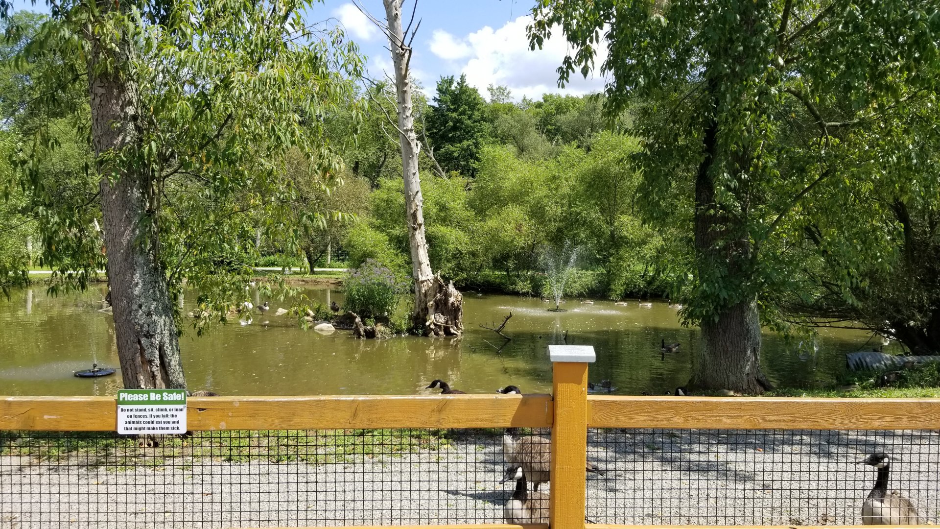 Living Treasures LH - Pond