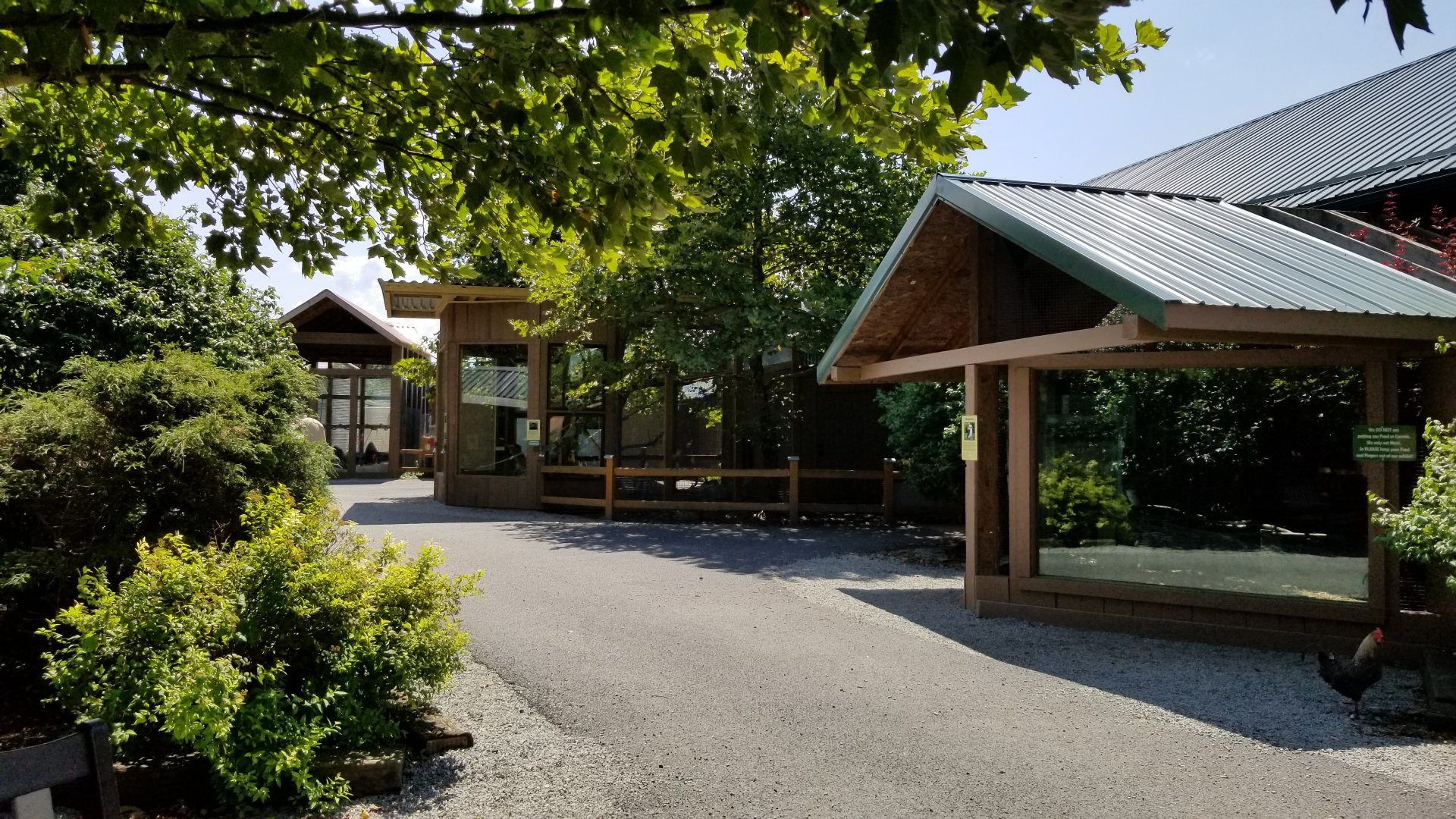 Living Treasures LH - Ringtail lemur, kookaburra exhibits