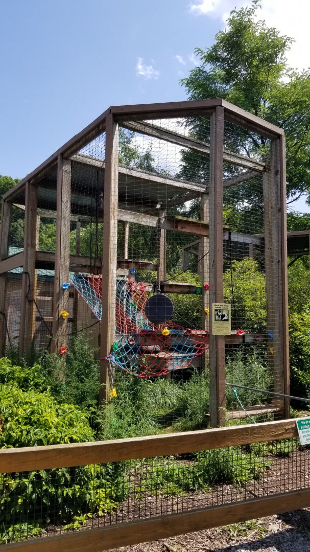 Living Treasures LH - Ruffed lemurs