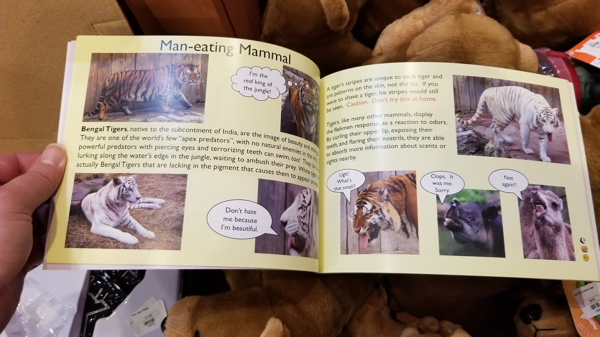 Living Treasures LH - Sample of book pages