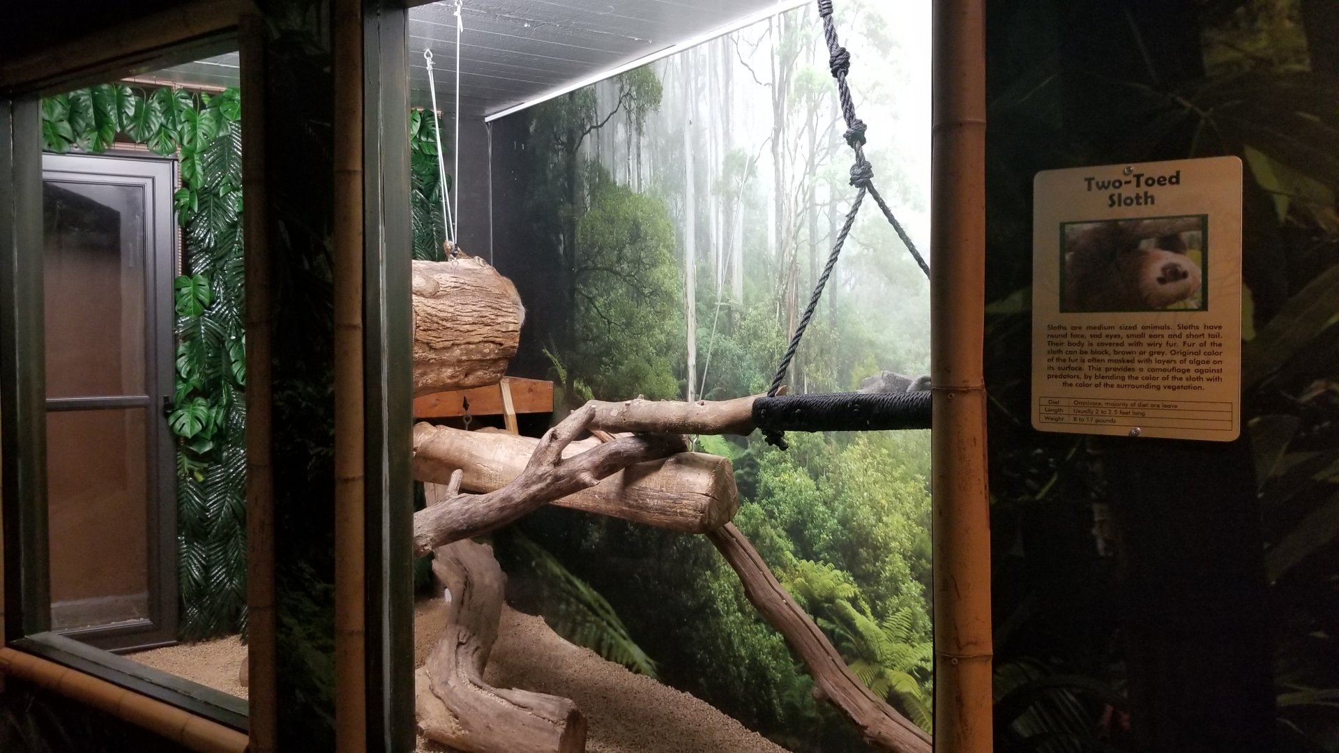 Living Treasures LH - Sloth