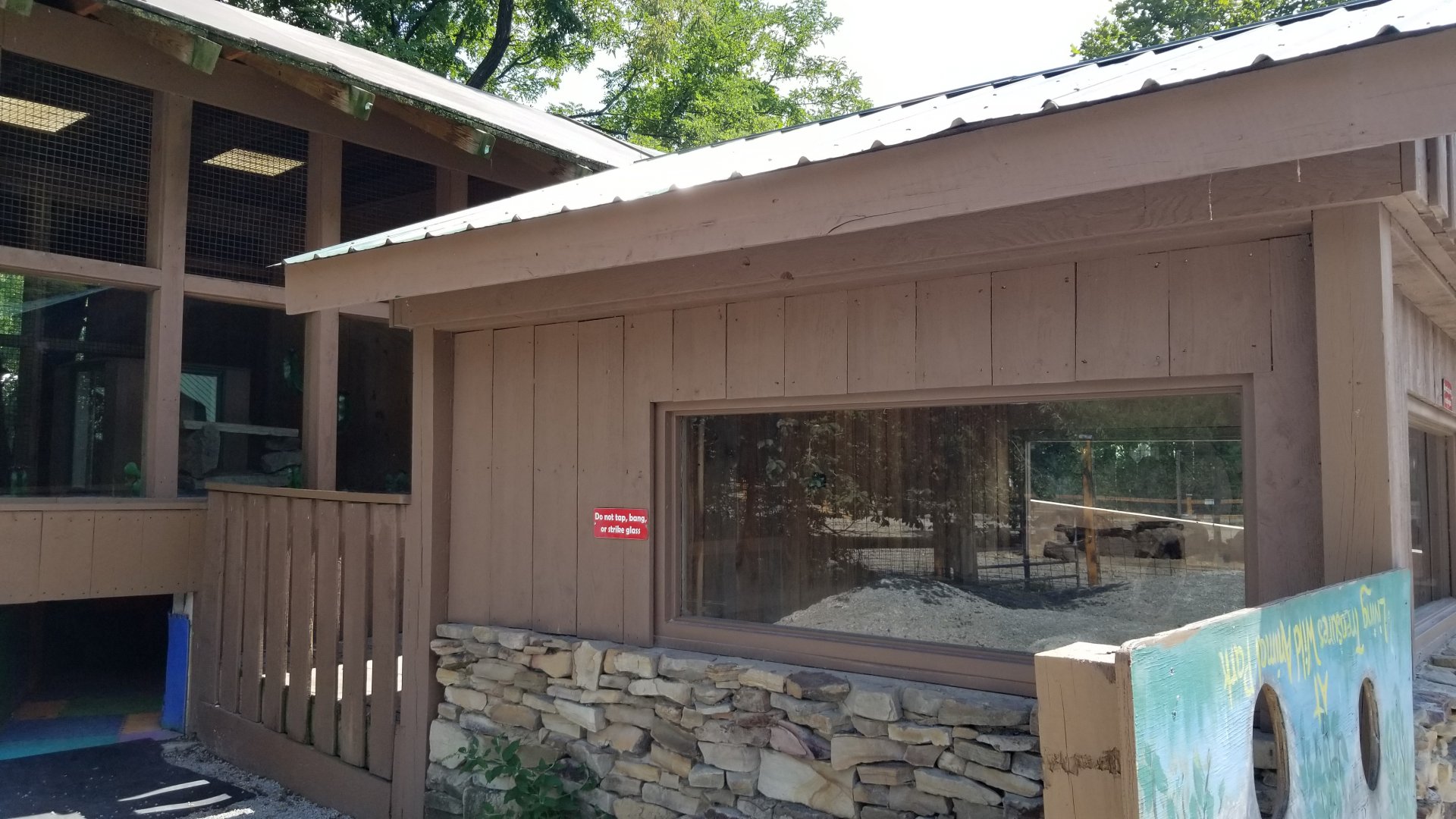 Living Treasures LH - South american coati