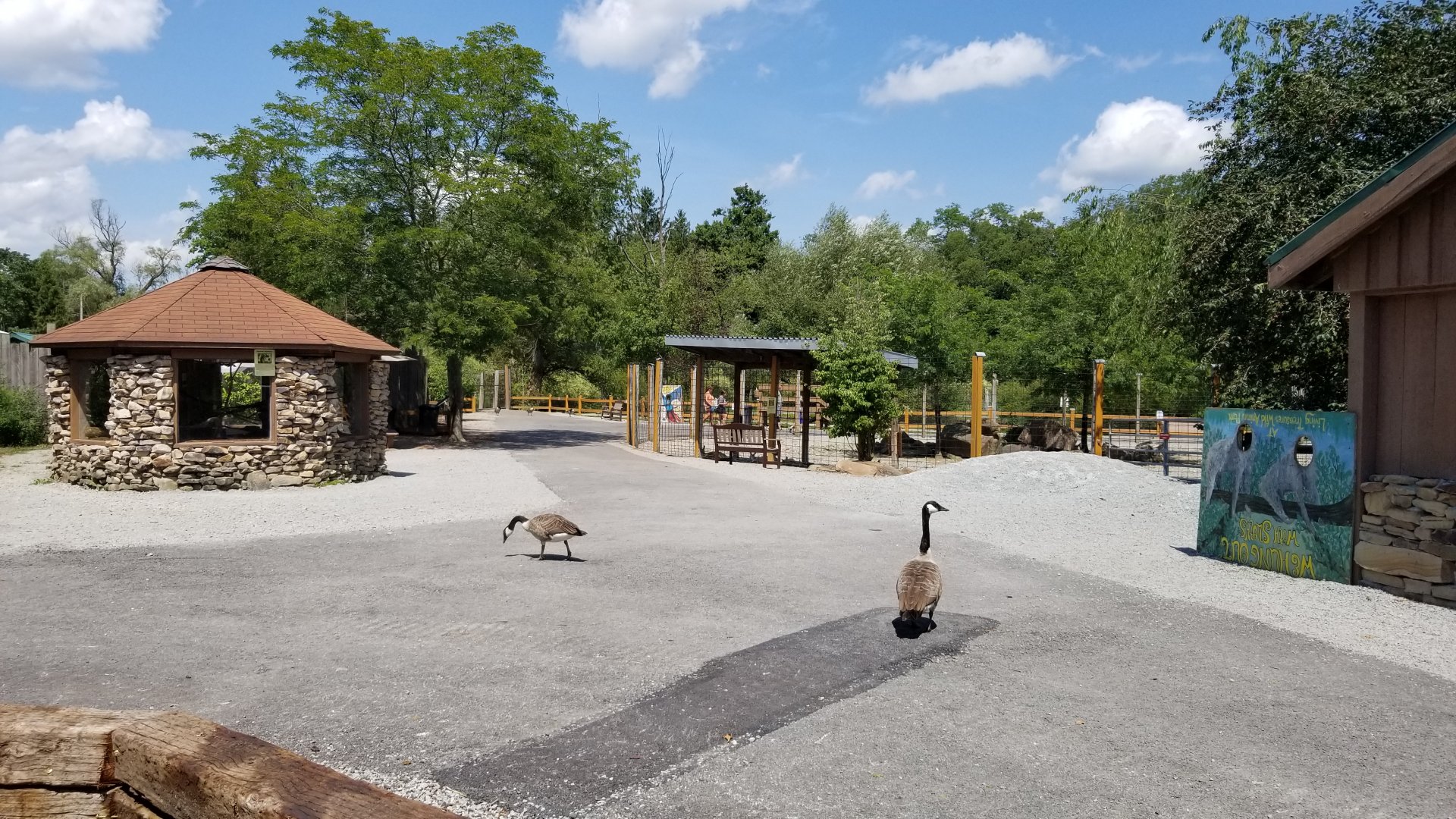 Living Treasures LH - Squirrel monkey on left, kangaroo on right