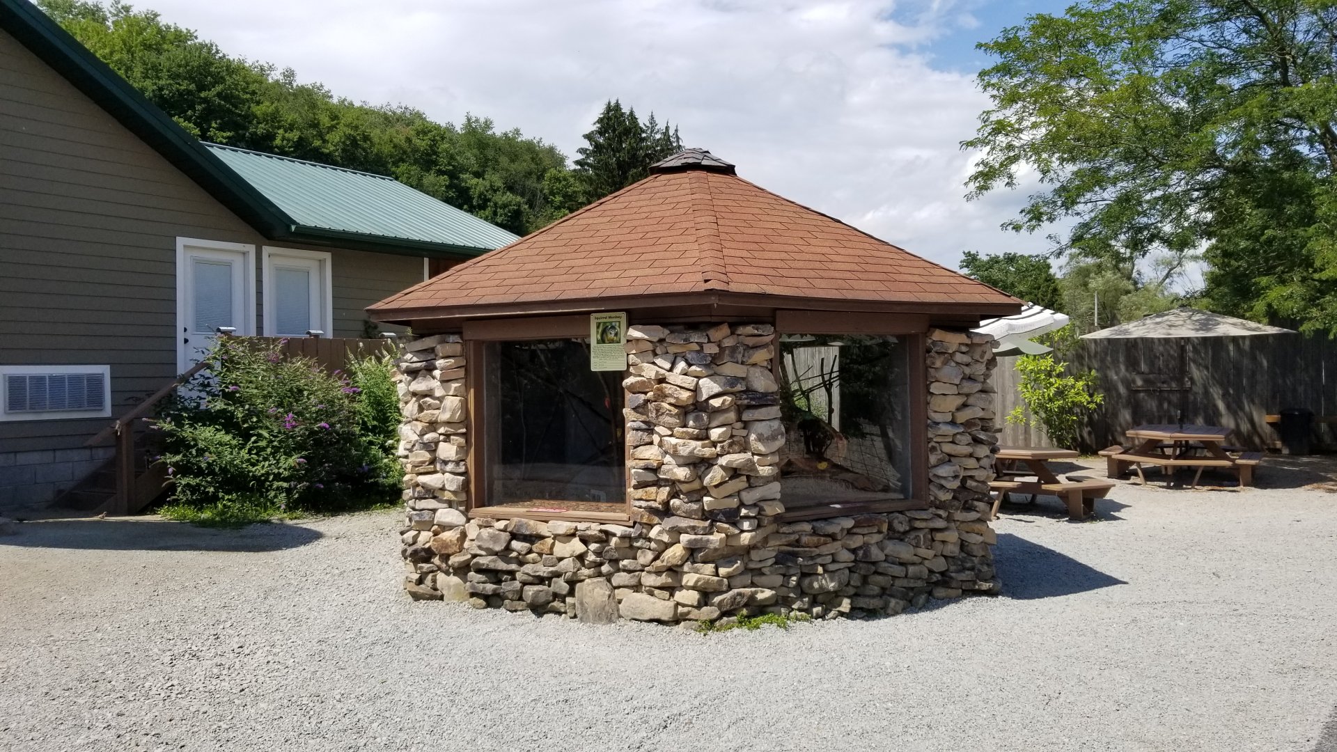 Living Treasures LH - Squirrel monkey