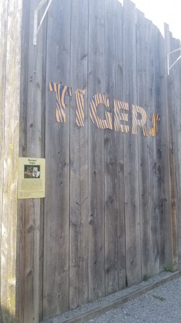 Living Treasures LH - Tigers