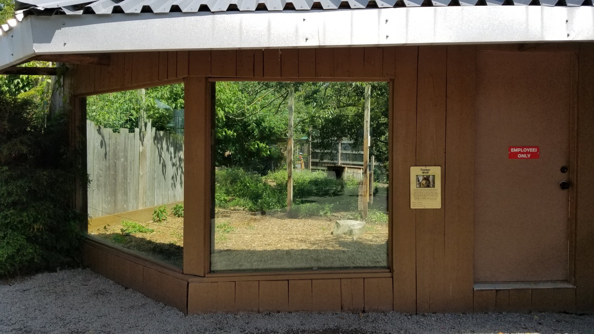 Living Treasures LH - Timber wolf