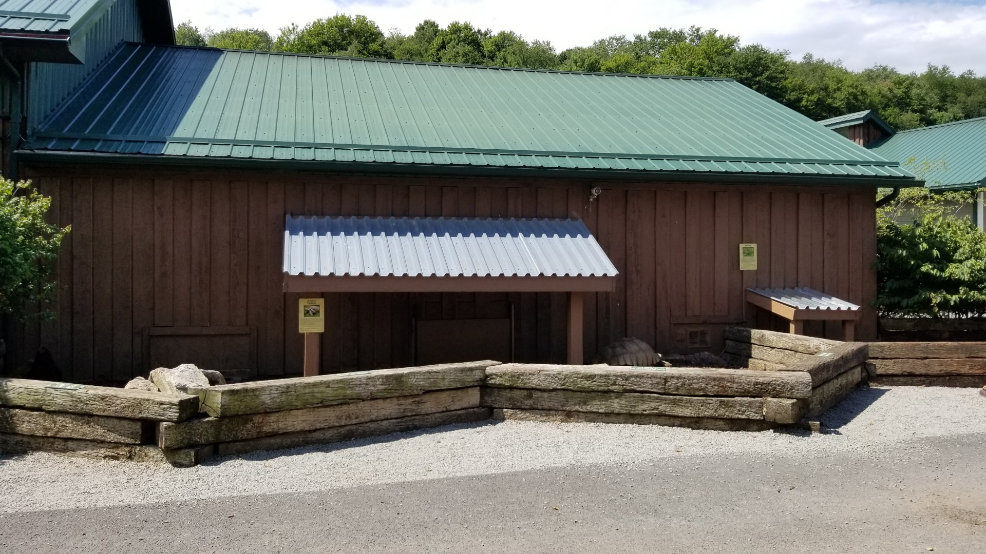 Living Treasures LH - Tortoises