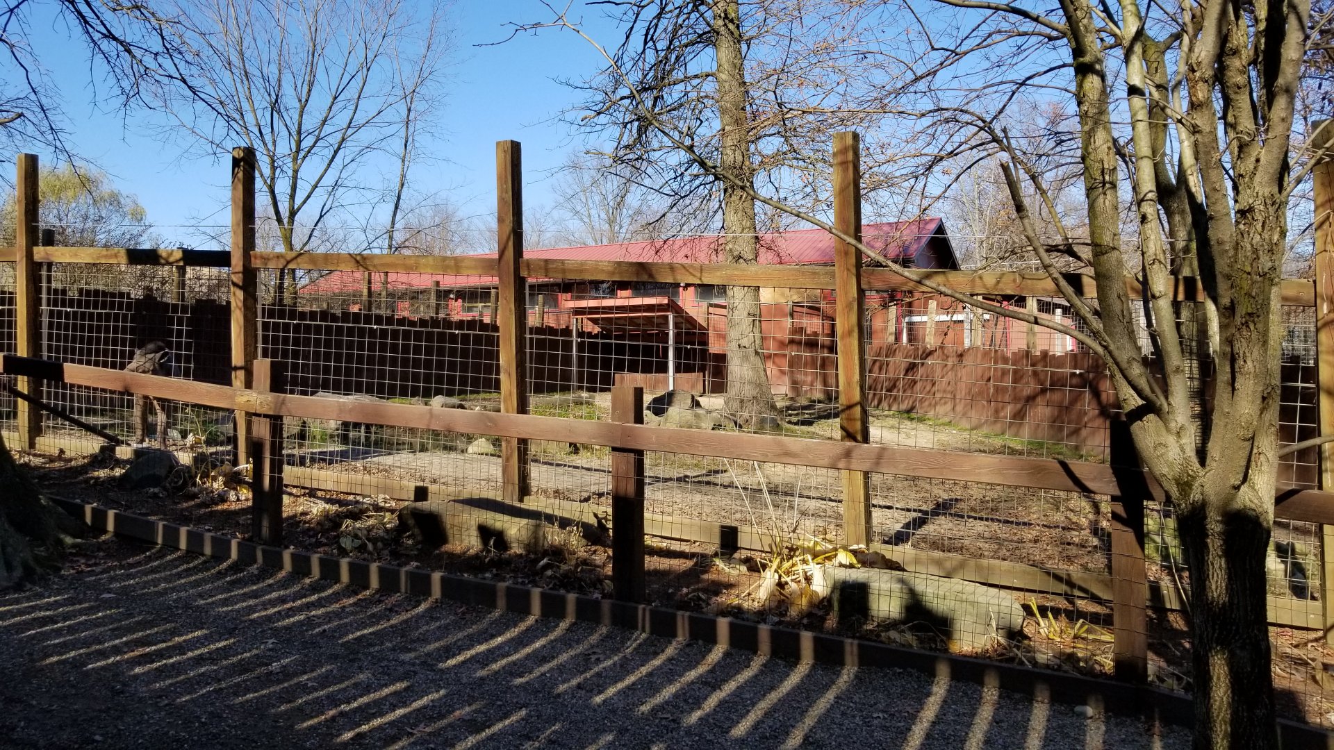 Living Treasures Moraine - Brazilian tapir yard