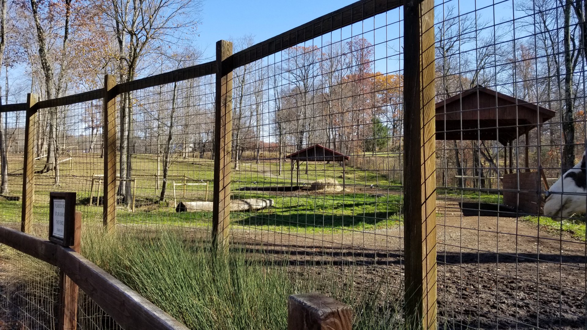 Living Treasures Moraine - Camel area