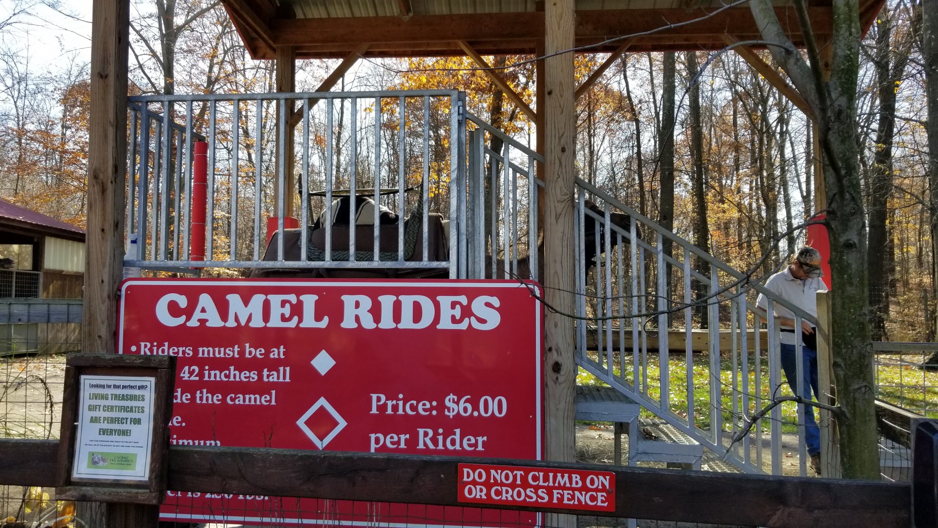 Living Treasures Moraine - Camel rides