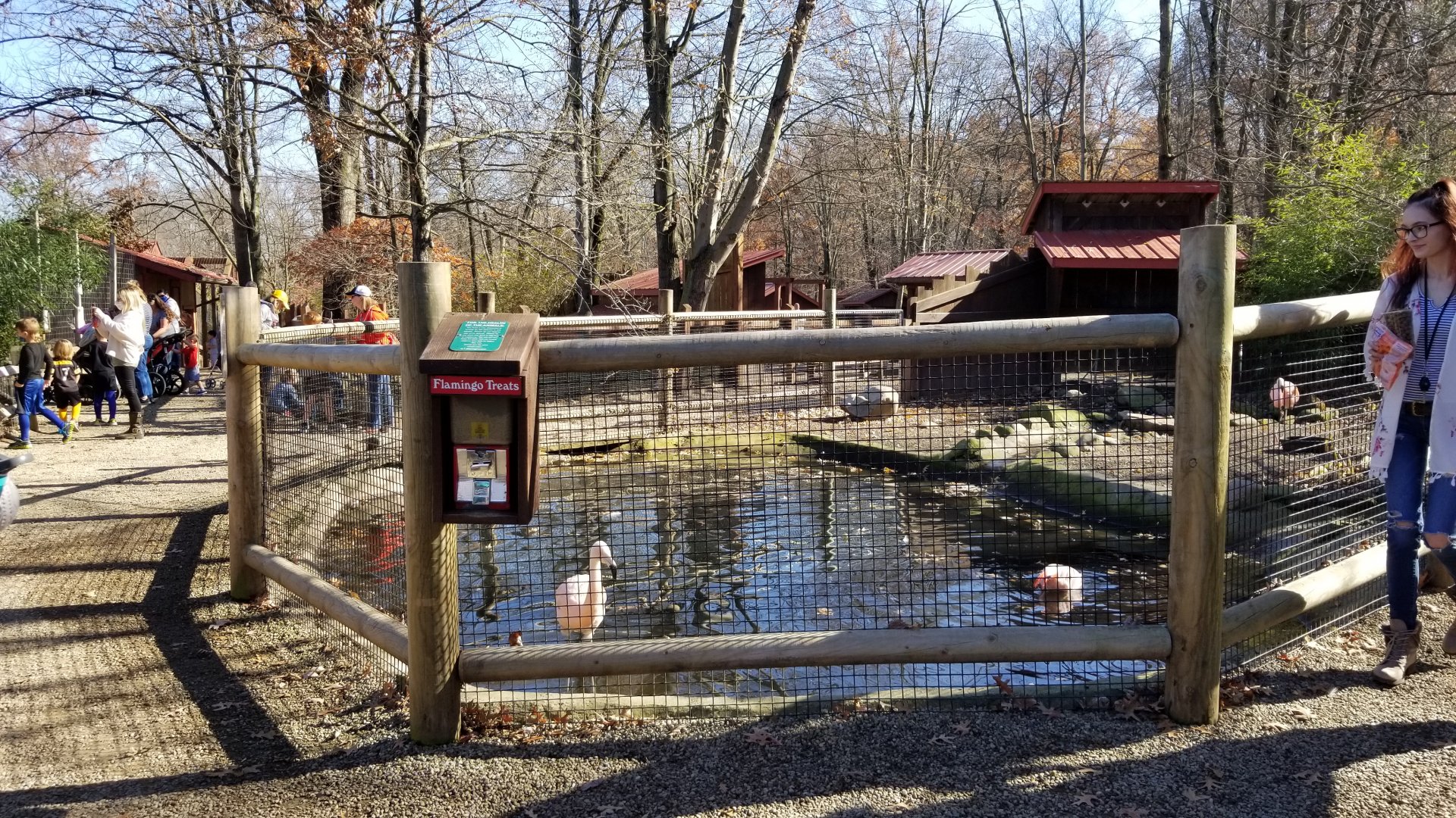Living Treasures Moraine - Flamingos