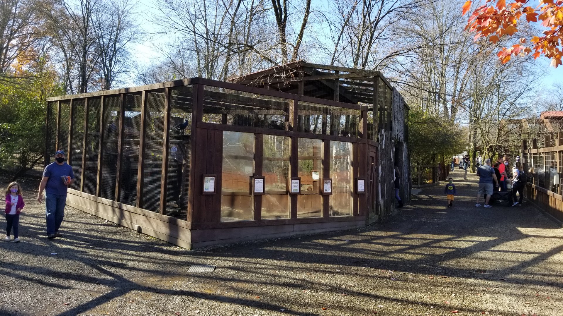 Living Treasures Moraine - Indian peafowl exhibit