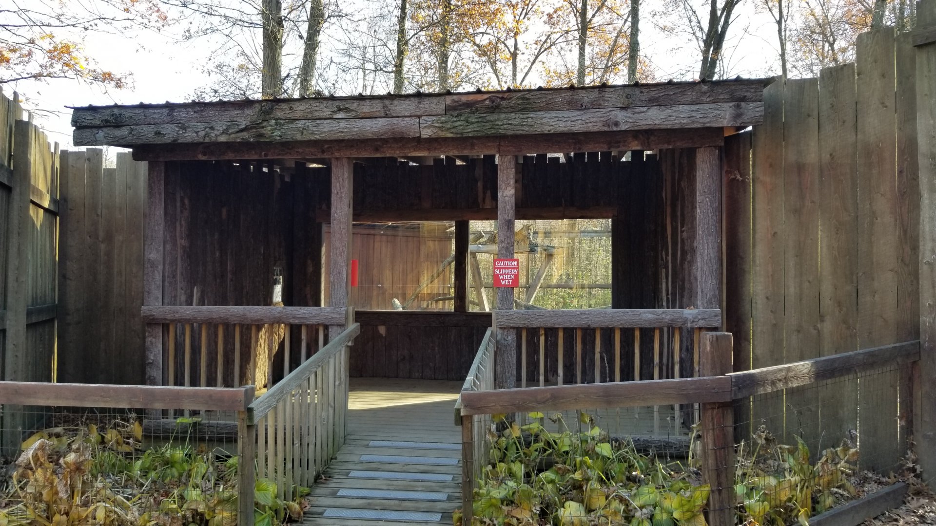 Living Treasures Moraine - Leopard exhibit